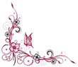 Ranke, flora, Blumen, Blüten, Kirschblüten