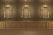 Luxurious Gallery Interior with empty frames on wall. Wooden Luxurious Gallery Interior with empty frames on wall. Wooden