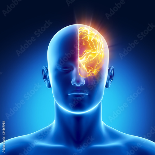 Illustration: Left hemisphere concept Left hemisphere concept