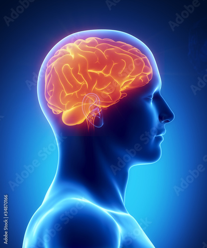 Illustration: Human brain glowing lateral view Human brain glowing lateral view