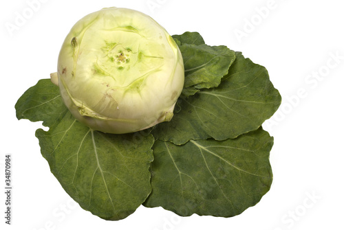 Foto: Kohlrabi auf Blättern Kohlrabi auf Blättern