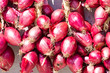 Cipolla rossa