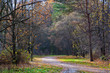 Walking path in autumn park
