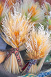 Sheaf of cereals