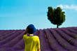Touriste devant un champs de lavande  - Plateau de Valensole