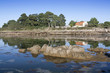 Reflejos en el mar