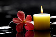 spa scene - burning,candle and red orchid on zen stones