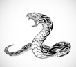 Vector: Snake Tattoo Snake Tattoo