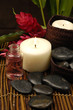 spa and wellness concept