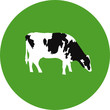 Vector: Vaca Vaca