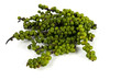 Green pepper cone