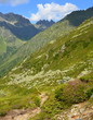 sentier alpin
