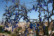 Good luck tree