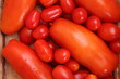 Tomaten