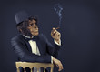 Gorilla gangster with tuxedo smoking cigar