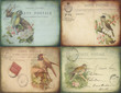 Photo: Vintage Bird Postcards Vintage Bird Postcards