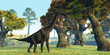 Photo en ligne au meilleur prix Brachiosaurus