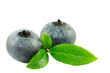 Zwei Heidelbeeren