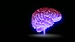 Magic Brain Video