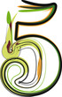 Organic Font illustration. Vector illustration