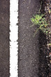 Texture closeup of an asphalt road with painted white line on Texture closeup of an asphalt road with painted white line on