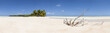 Dead wood on white sand beach panoramic view