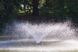 fontana