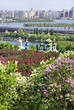 Kyiv Botanical Garden in spring, Ukraine