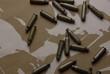 Shells on the british desert camouflage fabric