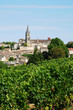 vignoble de Saint-Emilion en Aquitaine