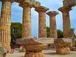 Sicilia tempio Selinunte