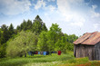 Laundry drying on clothesline on a summer day