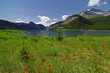 Canadian Rockies