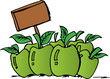 pomme