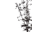 Abstract floral background with a bamboo.