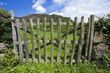 Puertas al campo Puertas al campo