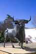 Stier - Plaza de Toros - Ronda - Andalusien - Spanien