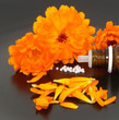Globuli und Calendula