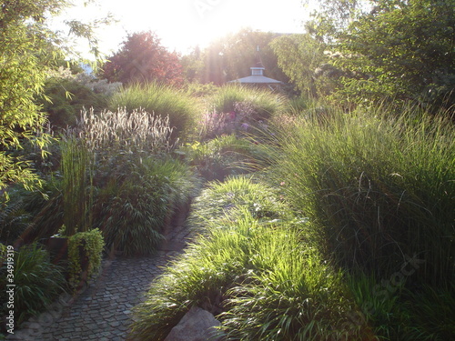 Photo: Sunset Creates Peaceful Garden Scene Sunset Creates Peaceful Garden Scene