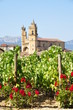 vignoble en Rioja