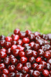 Kirschen