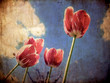 Vintage postcard with grunre background