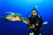 Photo: Female Scuba Diver encounters curious Hawksbill Sea Turtle Female Scuba Diver encounters curious Hawksbill Sea Turtle