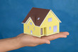 Model house Model house