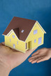 Model house Model house