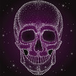 Detail Human Skull