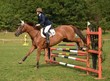 équitation