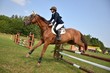 équitation
