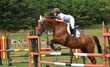équitation