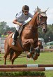 équitation